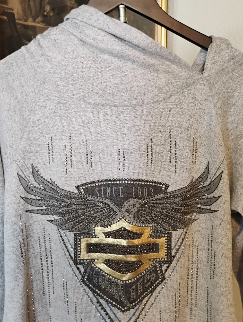 Harley-Davidson 115th Anniversary Women's M Hooded Cowl Neck Long Sleeve Shirt - Picture 2 of 9